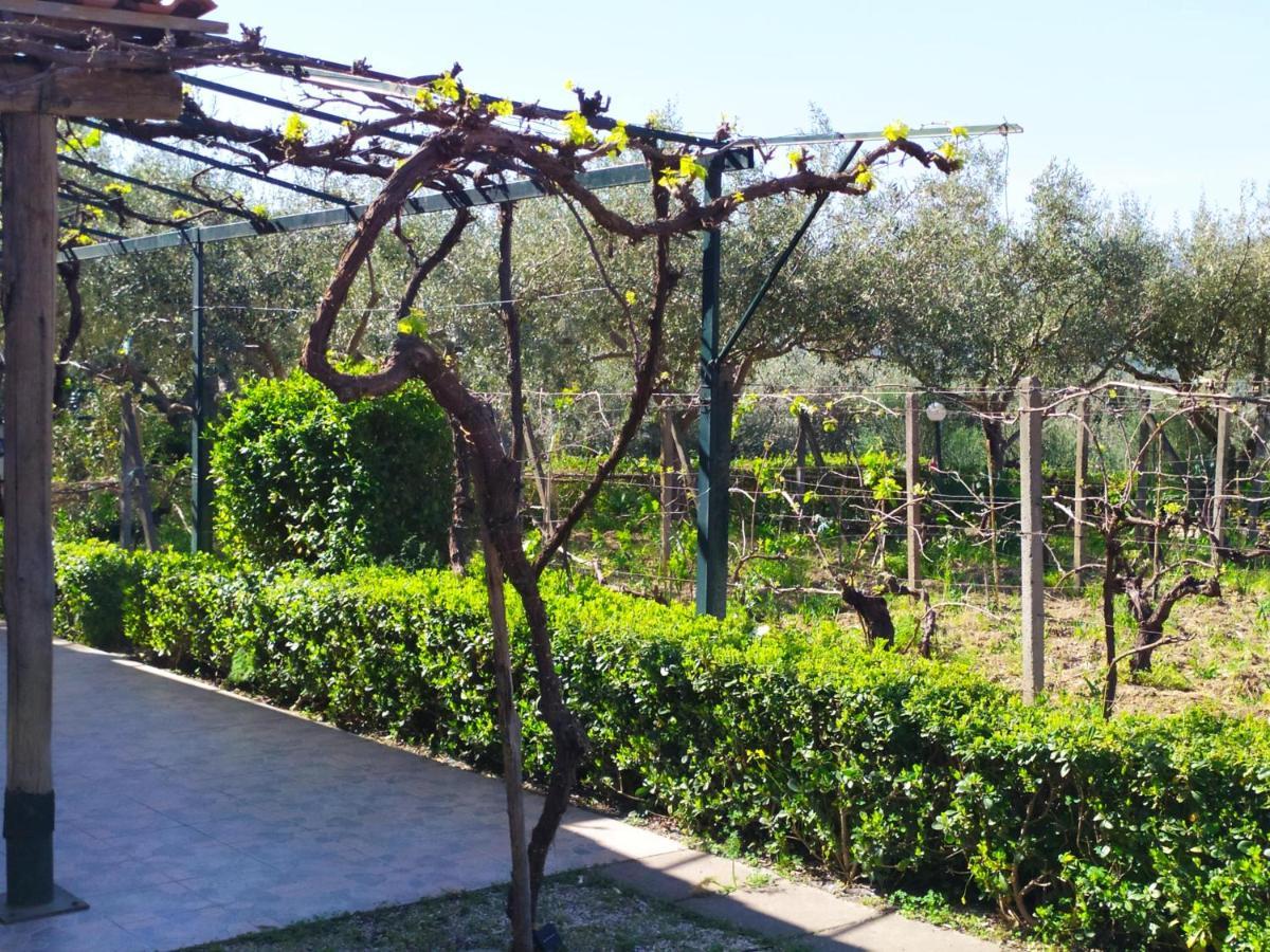 Il Vigneto "Cottage" Gaggi Ngoại thất bức ảnh