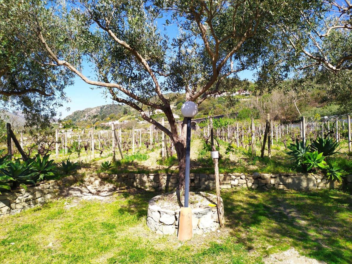 Il Vigneto "Cottage" Gaggi Ngoại thất bức ảnh
