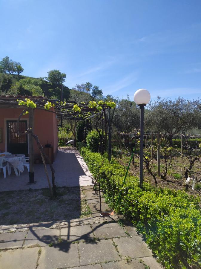 Il Vigneto "Cottage" Gaggi Ngoại thất bức ảnh