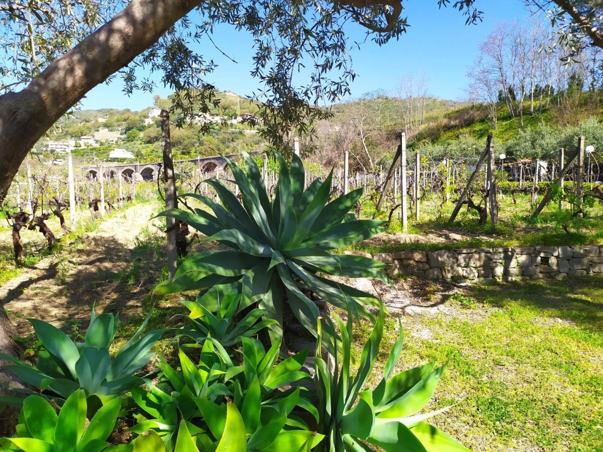 Il Vigneto "Cottage" Gaggi Ngoại thất bức ảnh